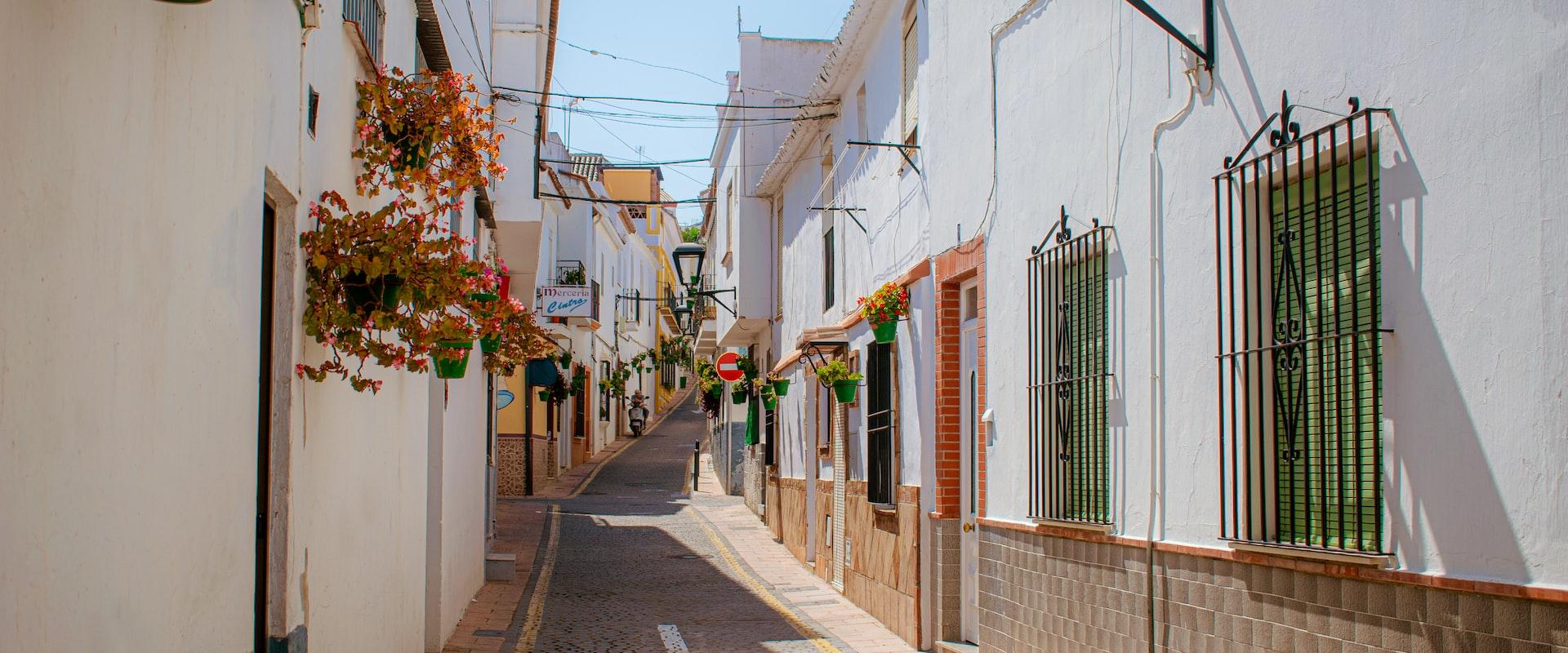 Elche de la Sierra - La Roda