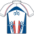 Maillot Champion - USA - 2008 - Leipheimer